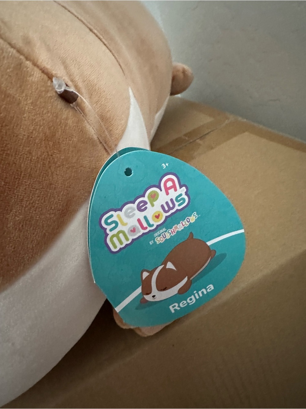 Squishmallows Brown & White Sleepy Corgi Plush Dog Toy - Picture 3 of 4